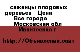 саженцы плодовых деревьев › Цена ­ 6 080 - Все города  »    . Московская обл.,Ивантеевка г.